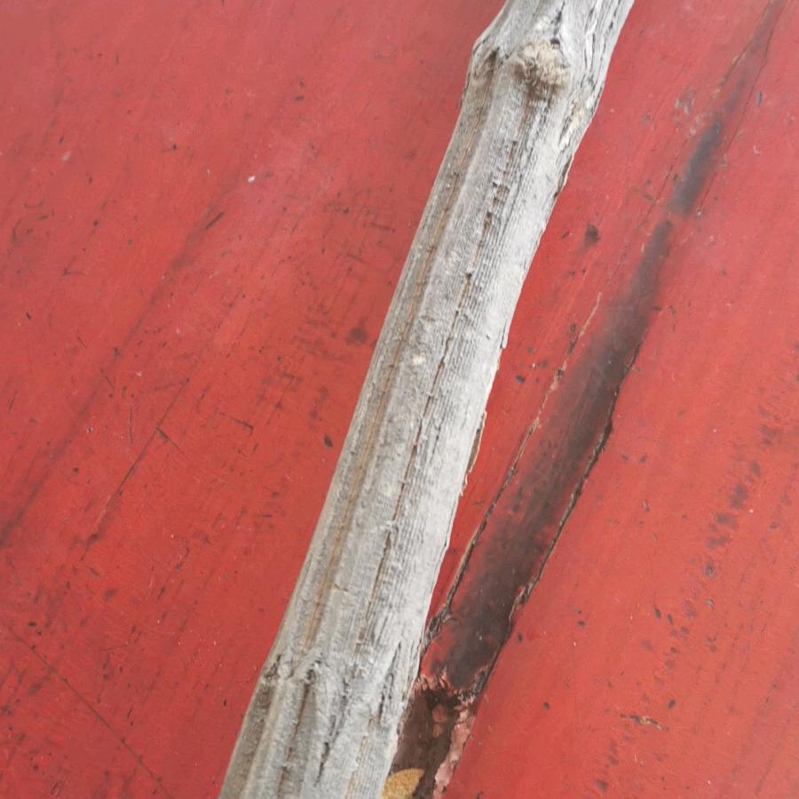 小醉