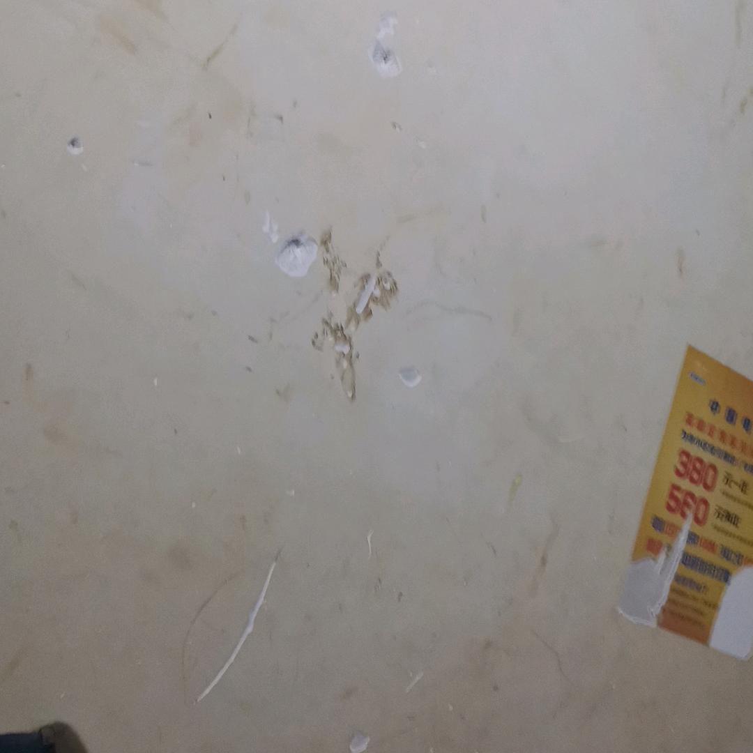 你好！
