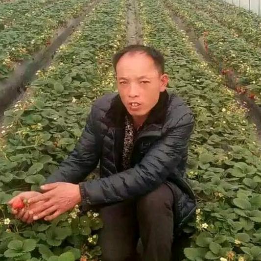 依然想你《橱窗好物分享》🔥🔥🔥