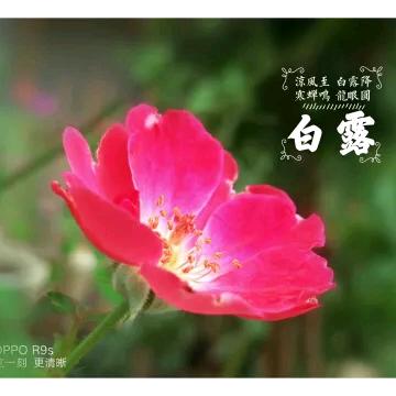 幸福快乐^O^