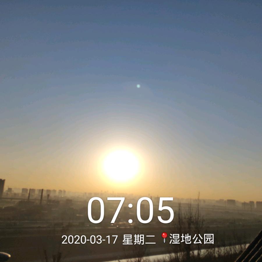业莲善缘