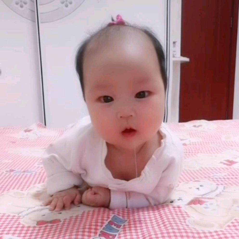 柚子麻麻的百宝箱