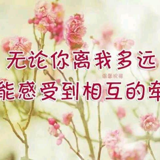 💕: 🦋ꦿ໊余生᭄🕊随心᭄ꦿ