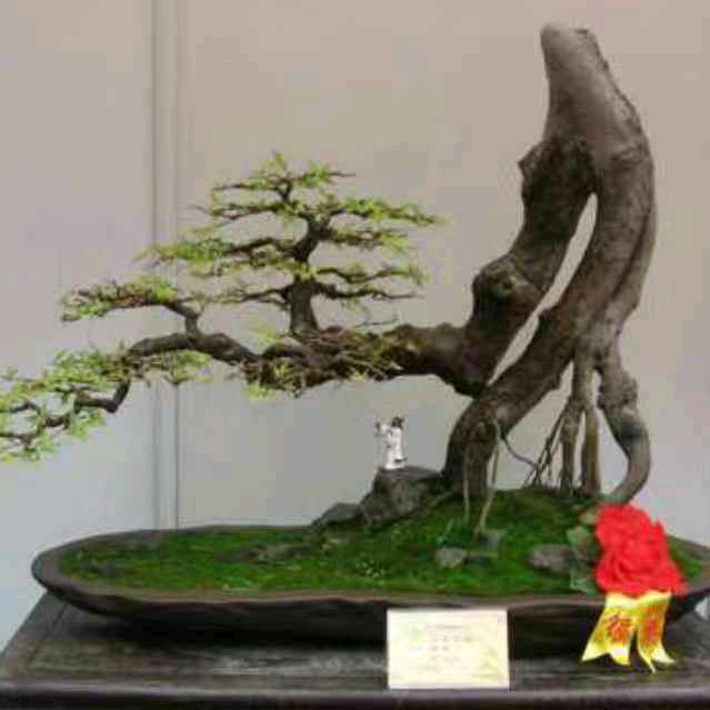 花花世界园艺场