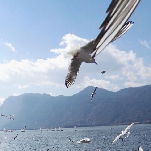 不会辅助