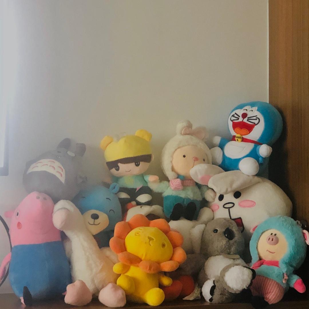 夏威夷的小蚊子