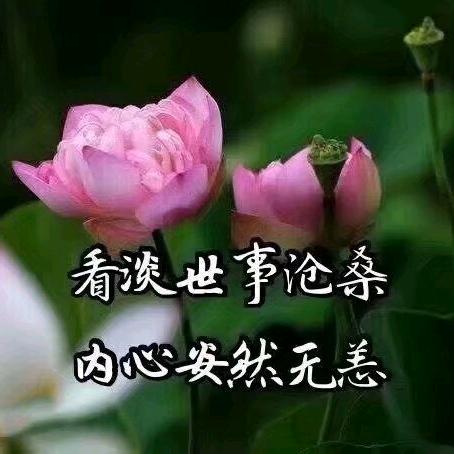 心大无忧