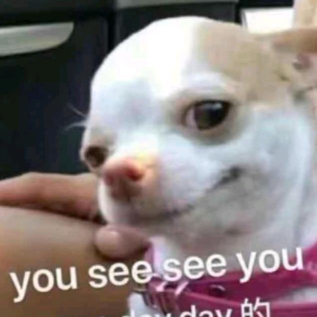 🌸