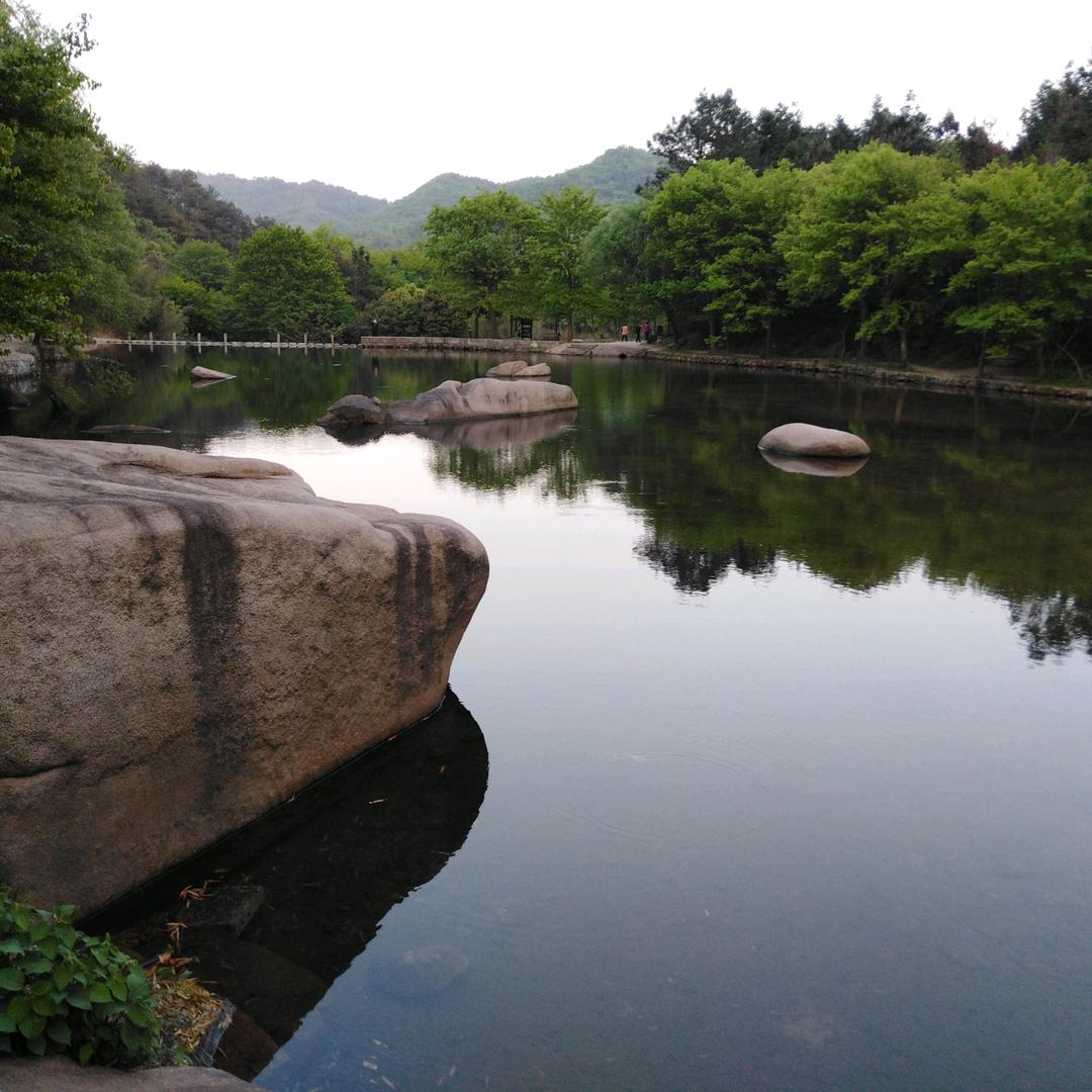 红音琴韵