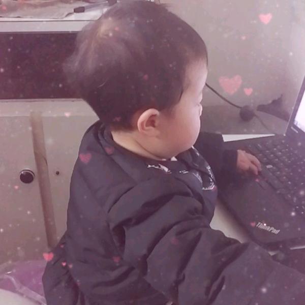 粉蝶