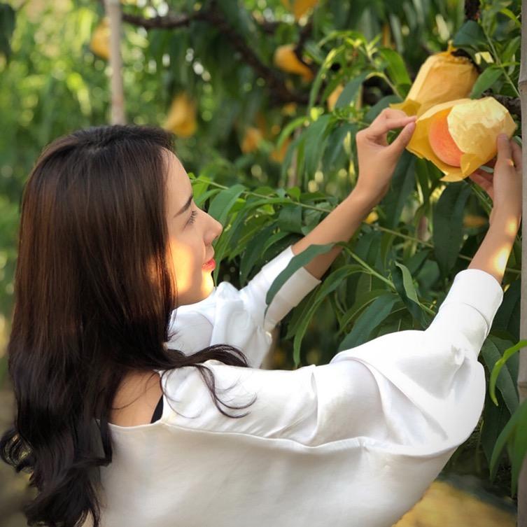 无锡阳山水蜜桃蜜桃馆