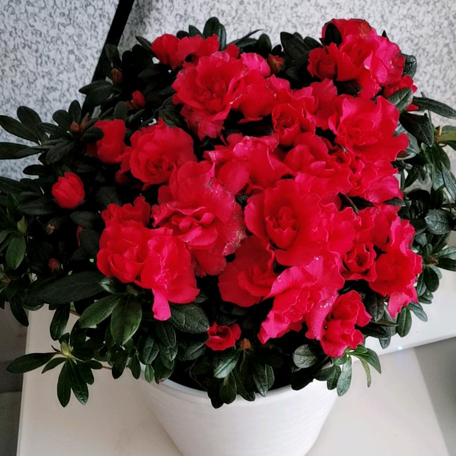 顺其自然，开心毎一天