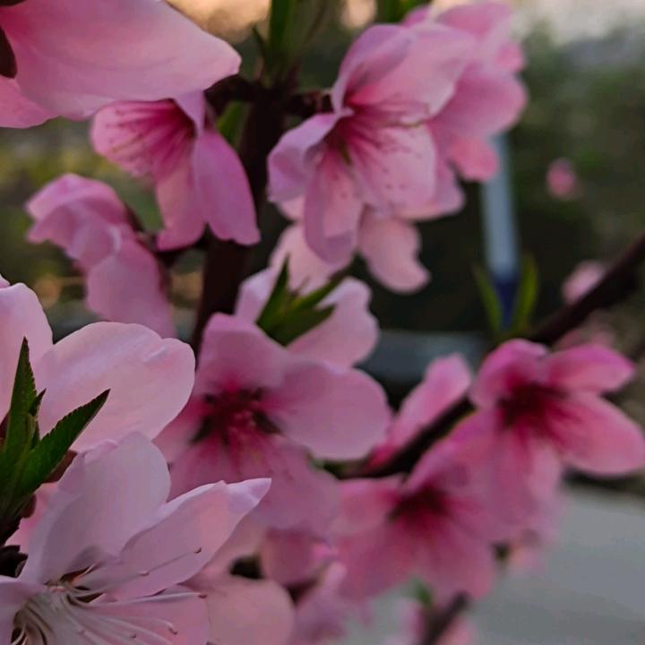 满满