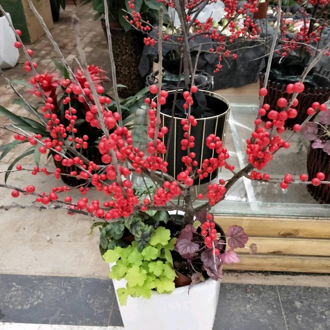 宽