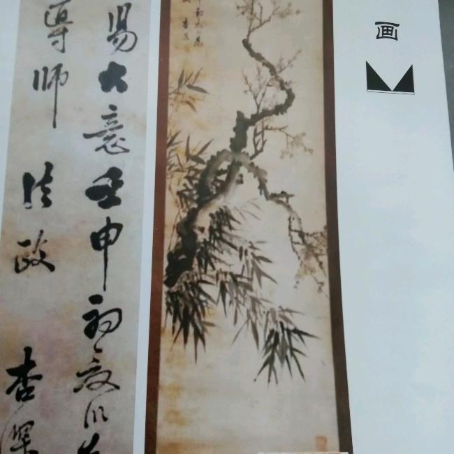 宝爷