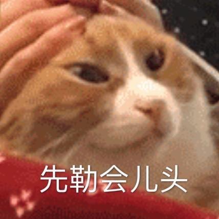 我们要以大橘为重