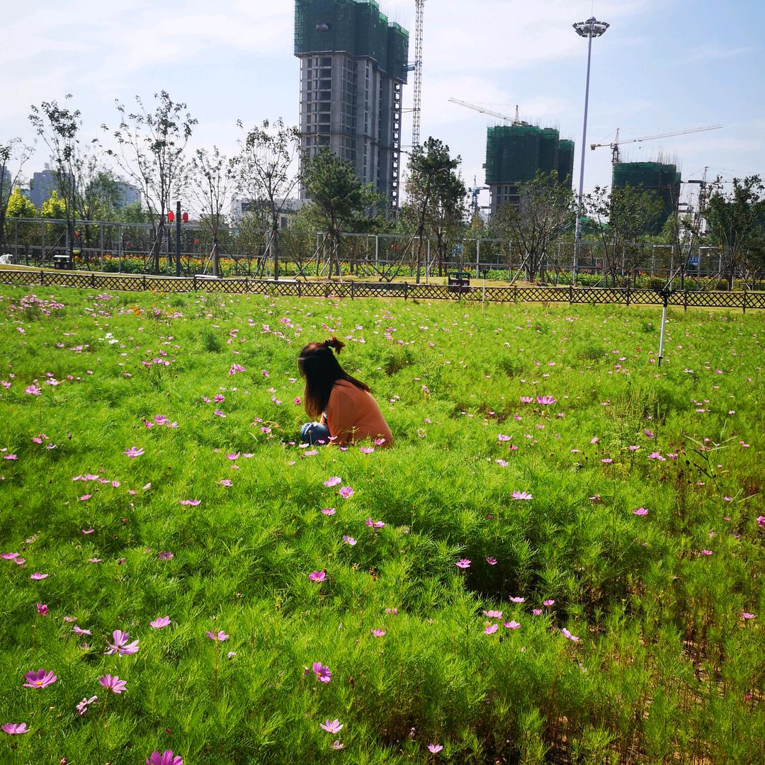 杰