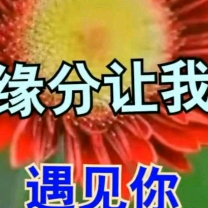 与你同乐