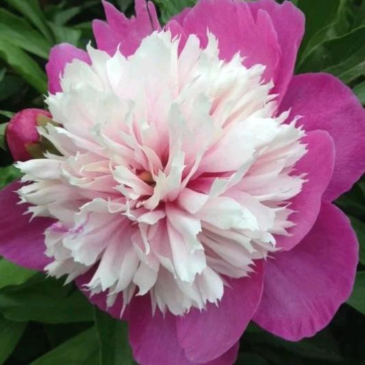 顺其自然🍎🍎🍎