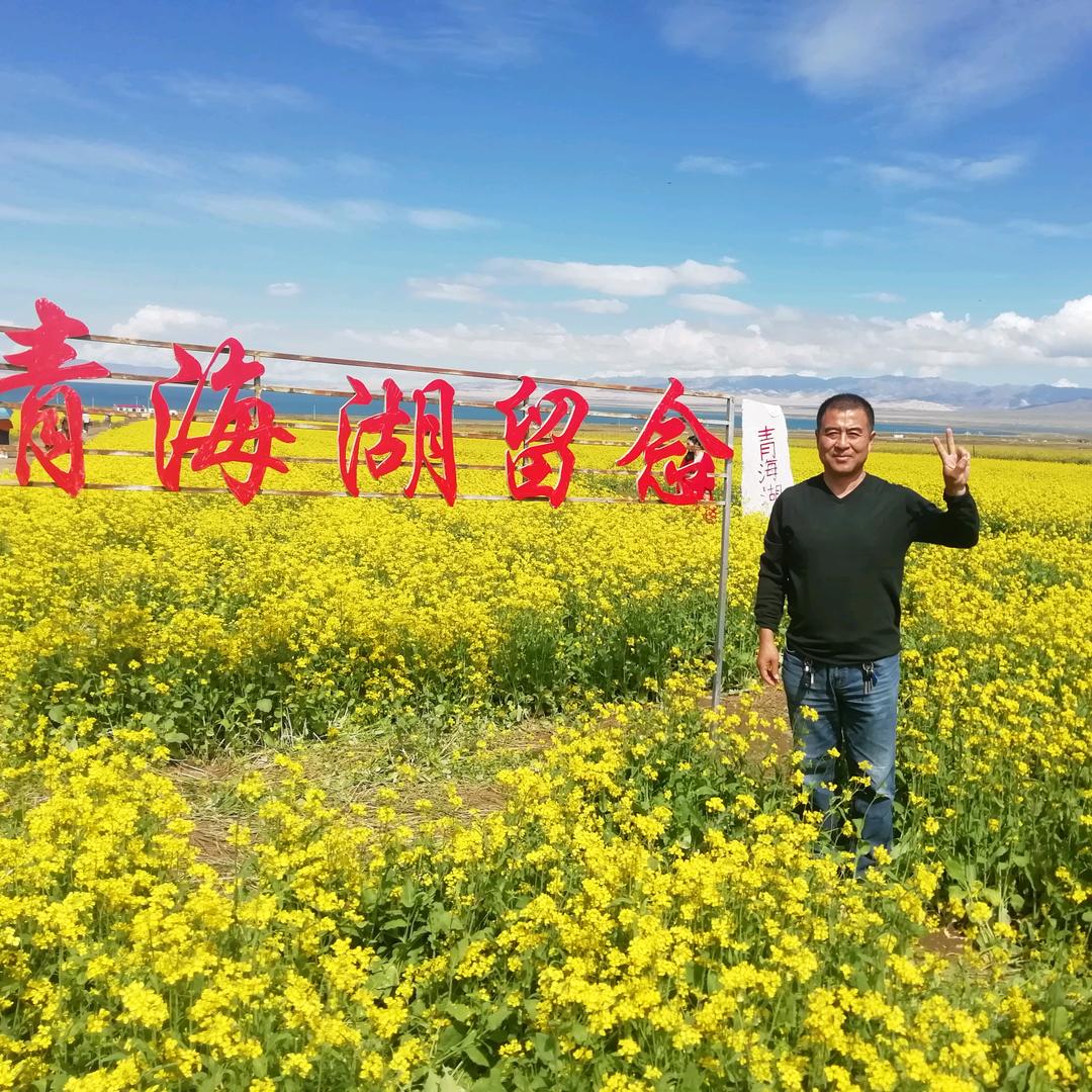 威海人367～婚车租赁