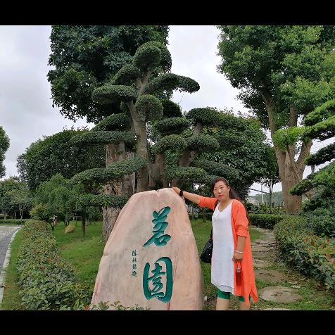 农村红红