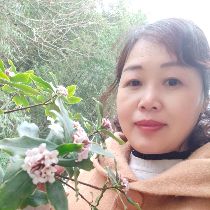 茉莉花