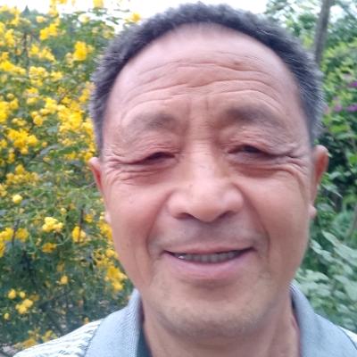 灰太狼