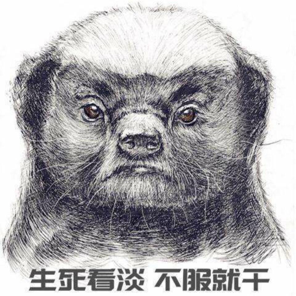 我相信只要名字取的足够长就有人跟着一起念