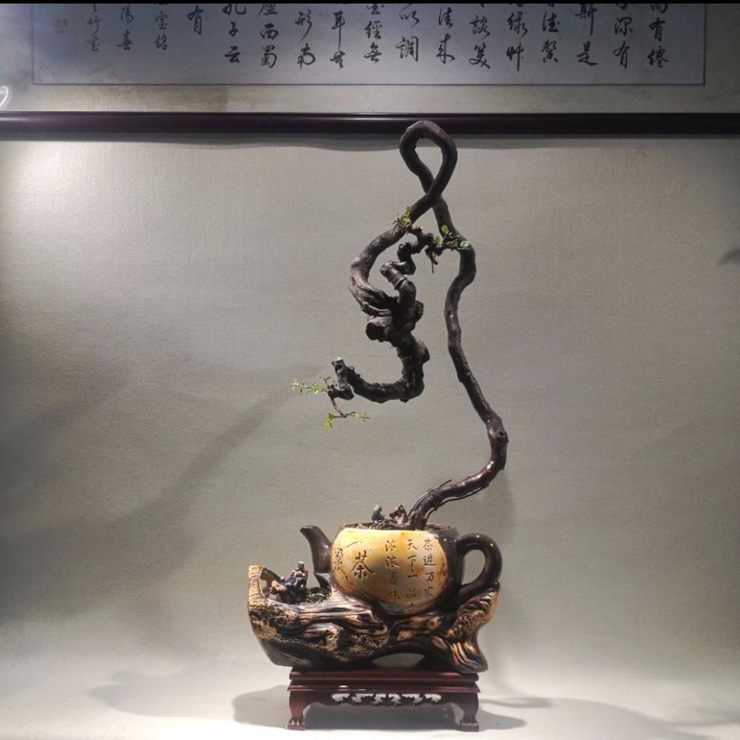 景华园