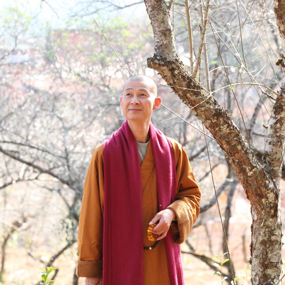 千年古刹石林寺