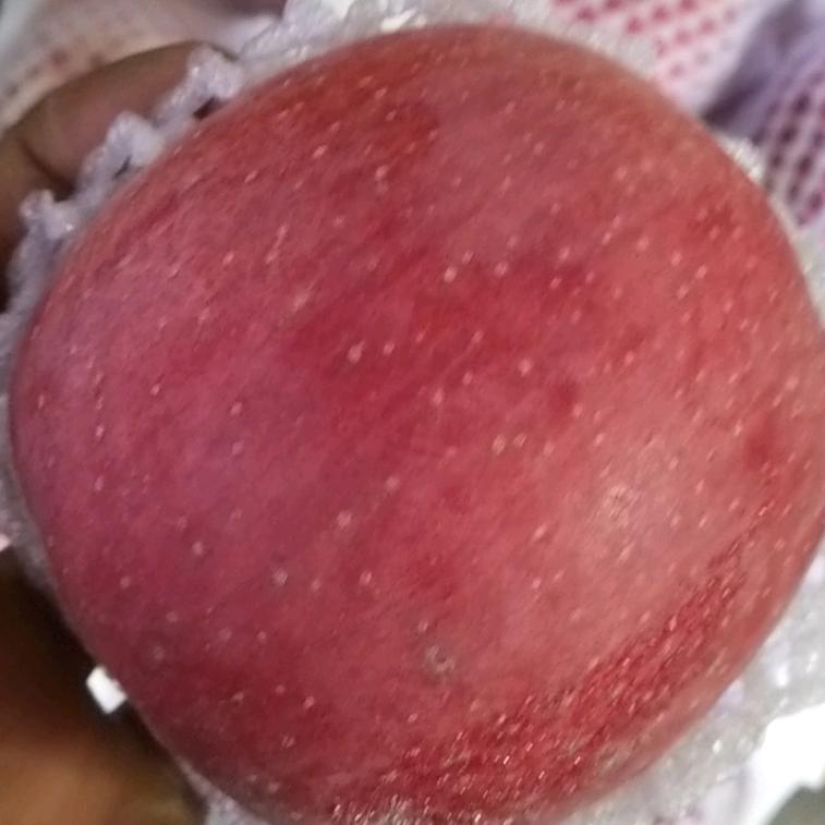 甜心果业