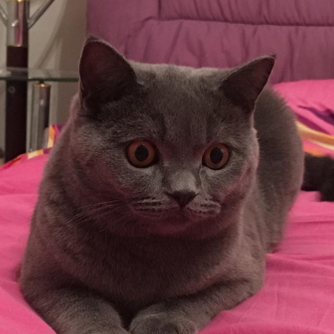 🌈海纳百川🌈