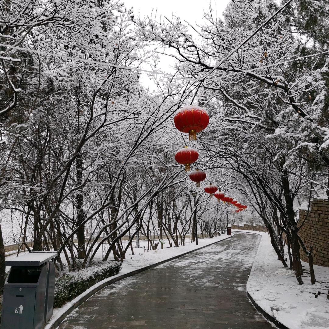 成绩单
