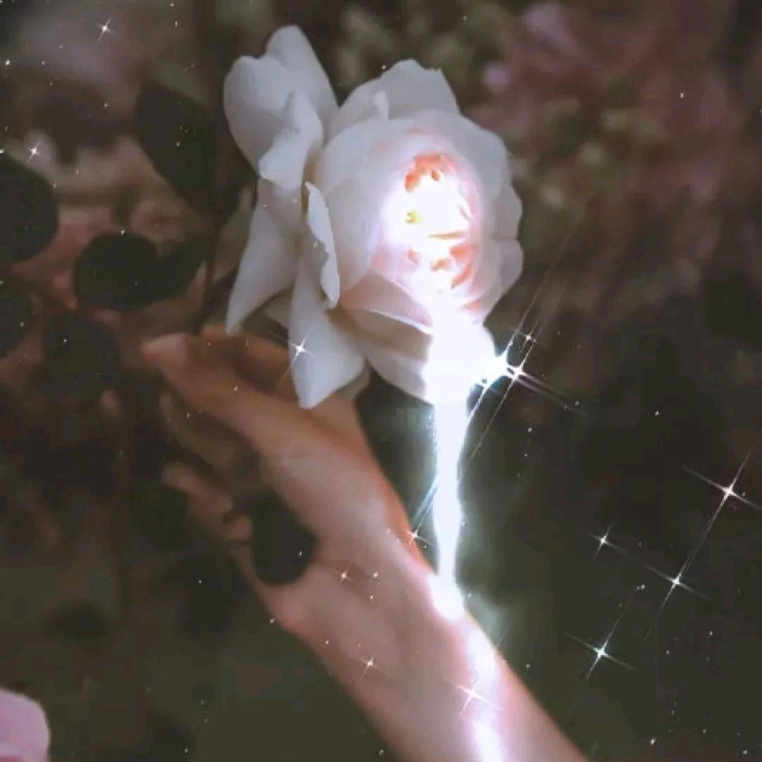 神明的公主殿下💃