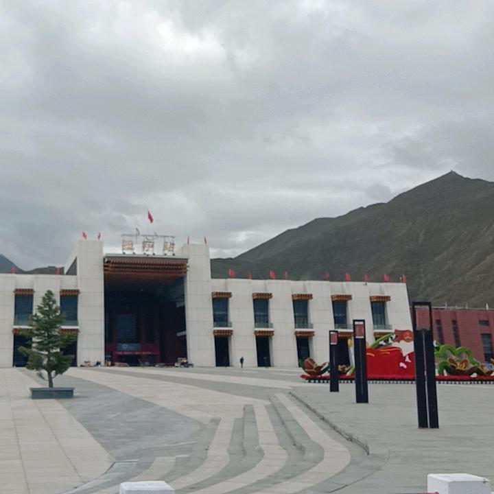 没心没肺的活着，一切顺其自然吧