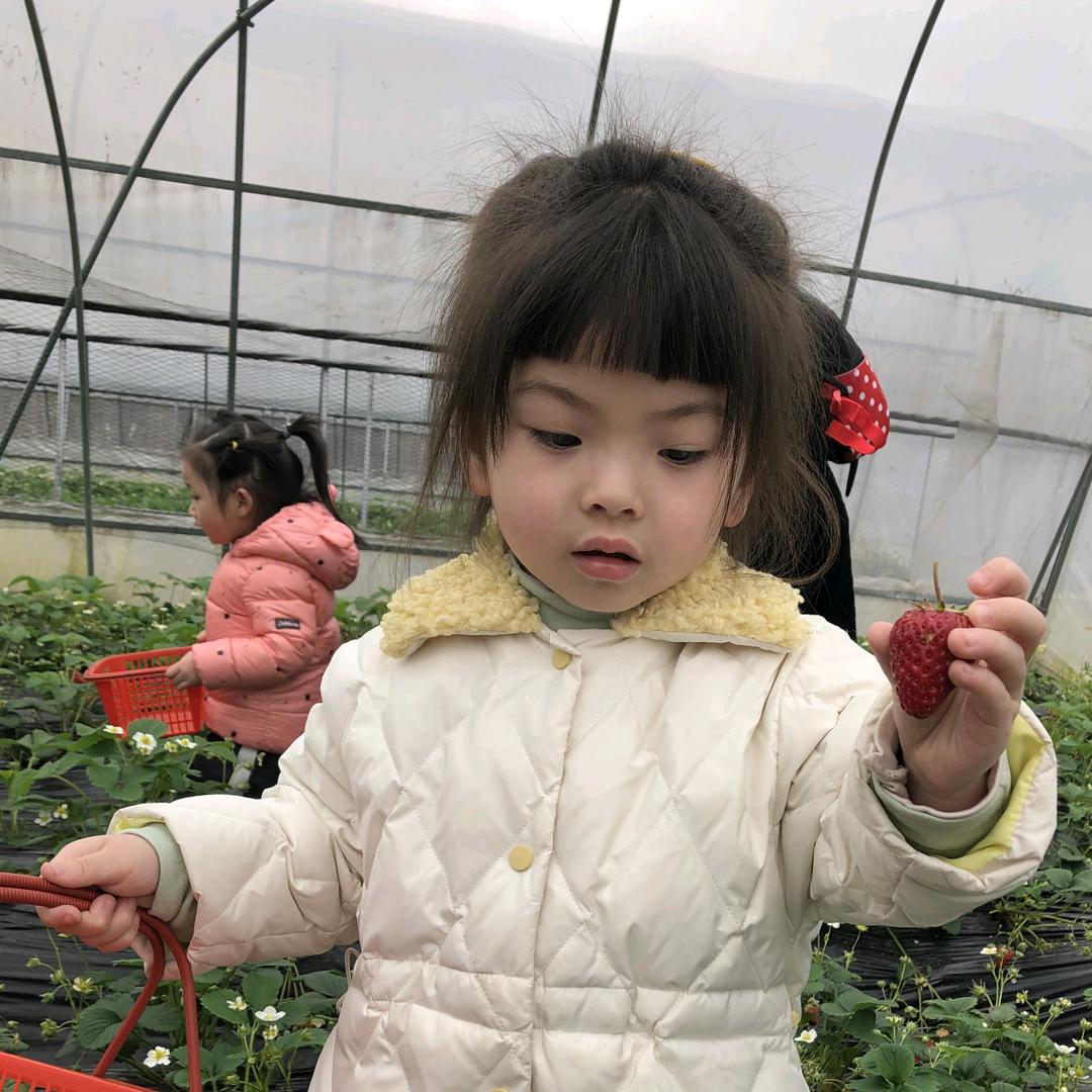 波哥人生