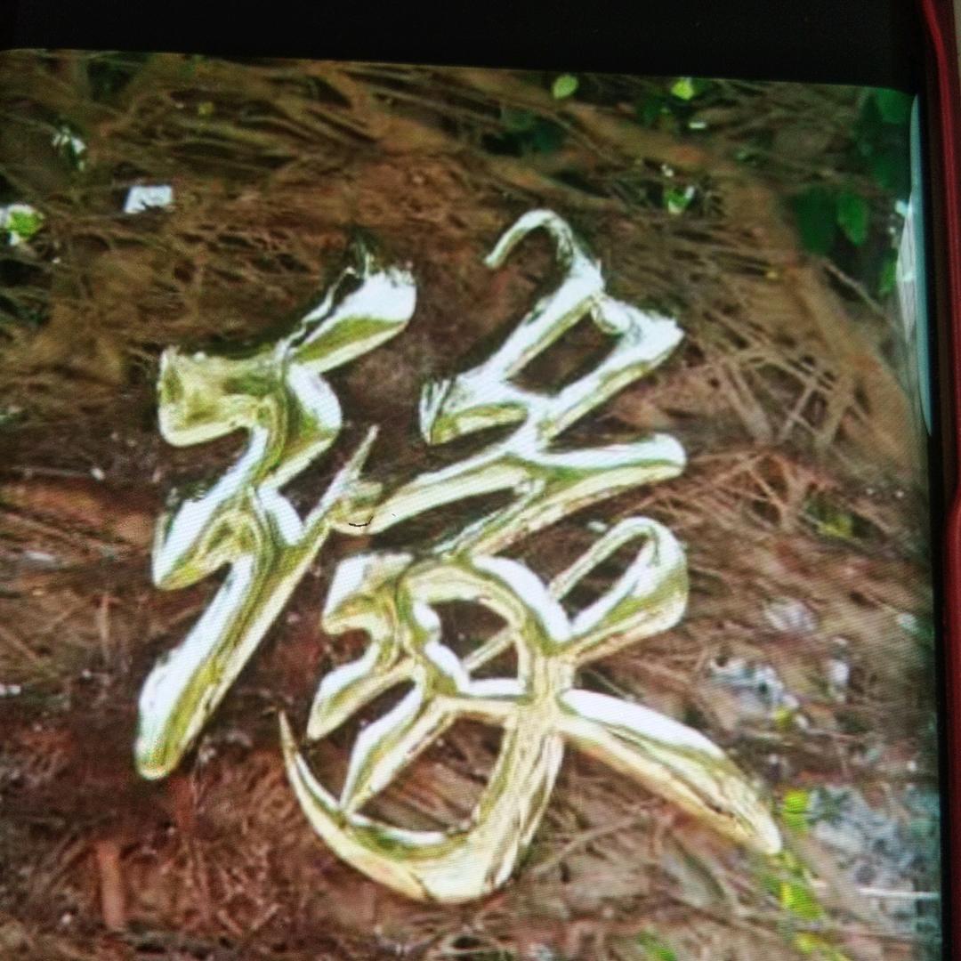 🧚‍♂️天涯客👱