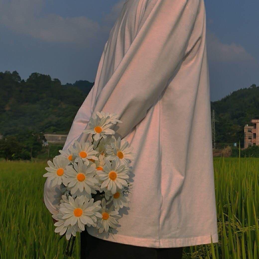 杨杨杨