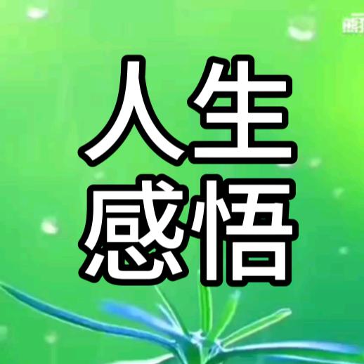 人生感悟📝