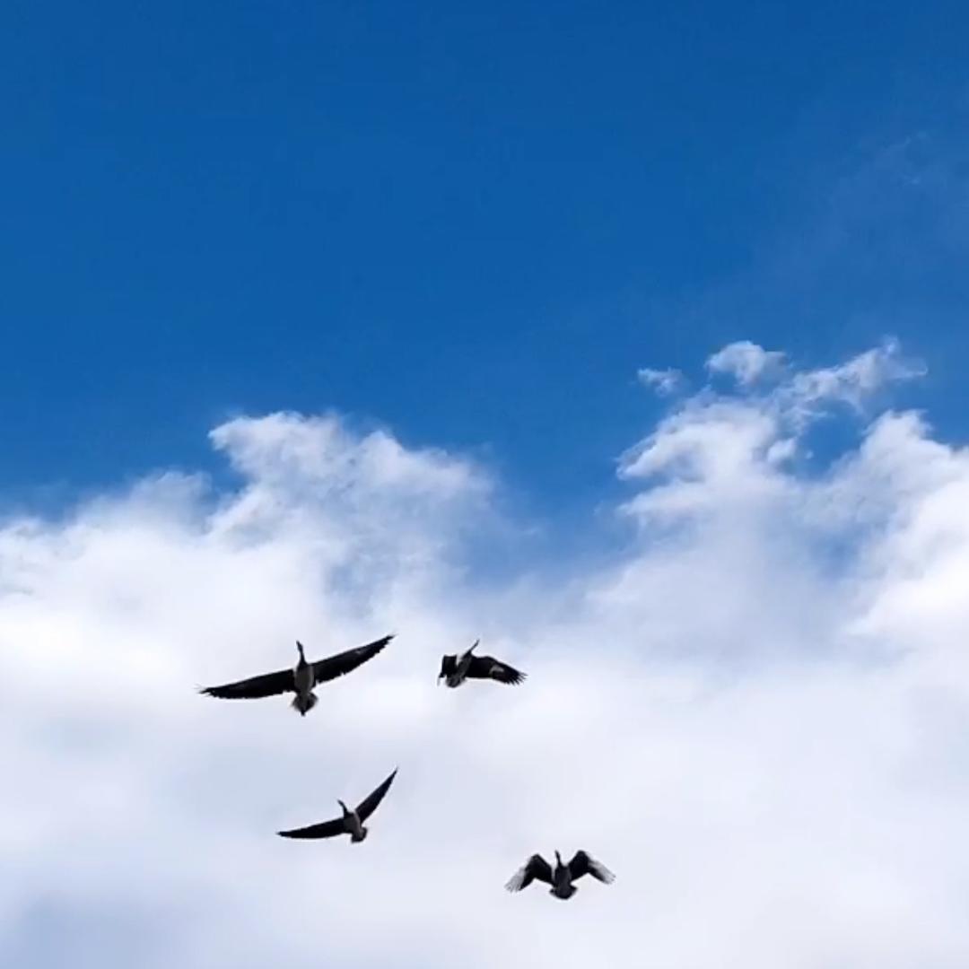 海天一色