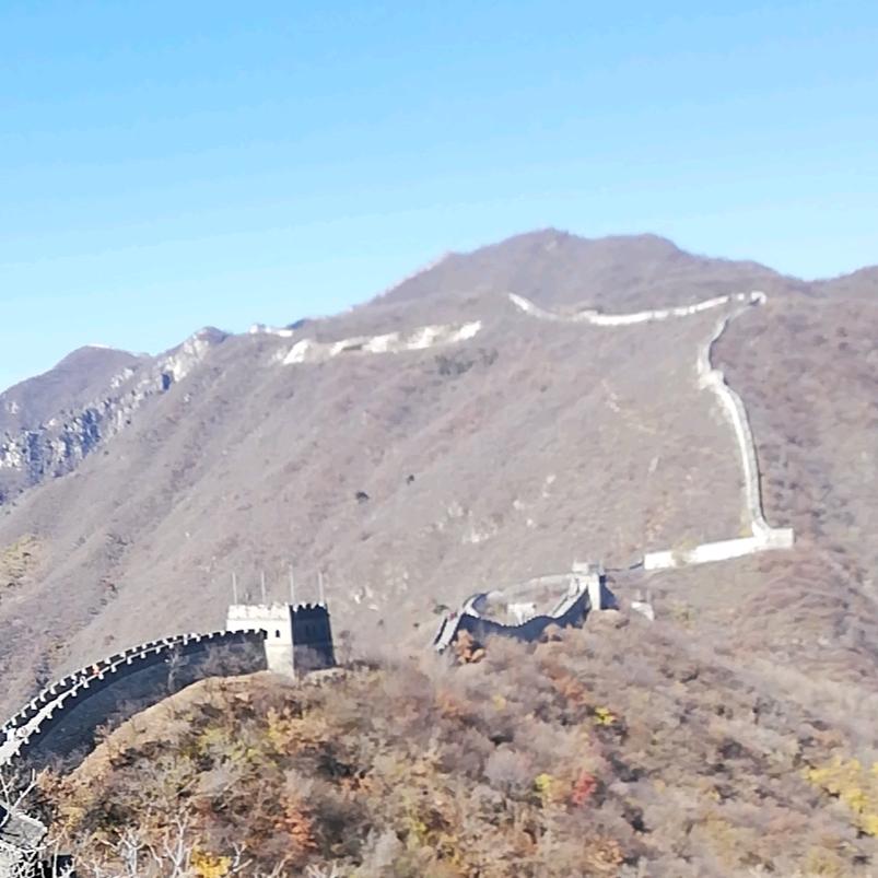 天涯处处闻啼鸟