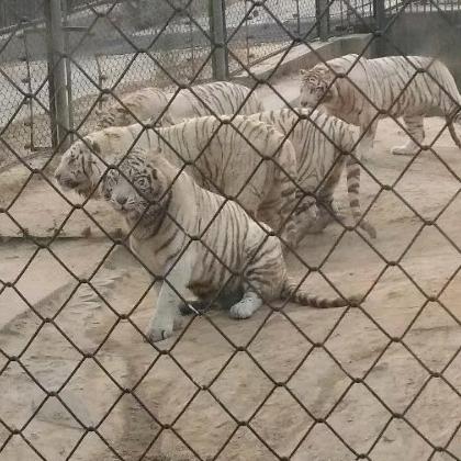 一生一世好兄弟