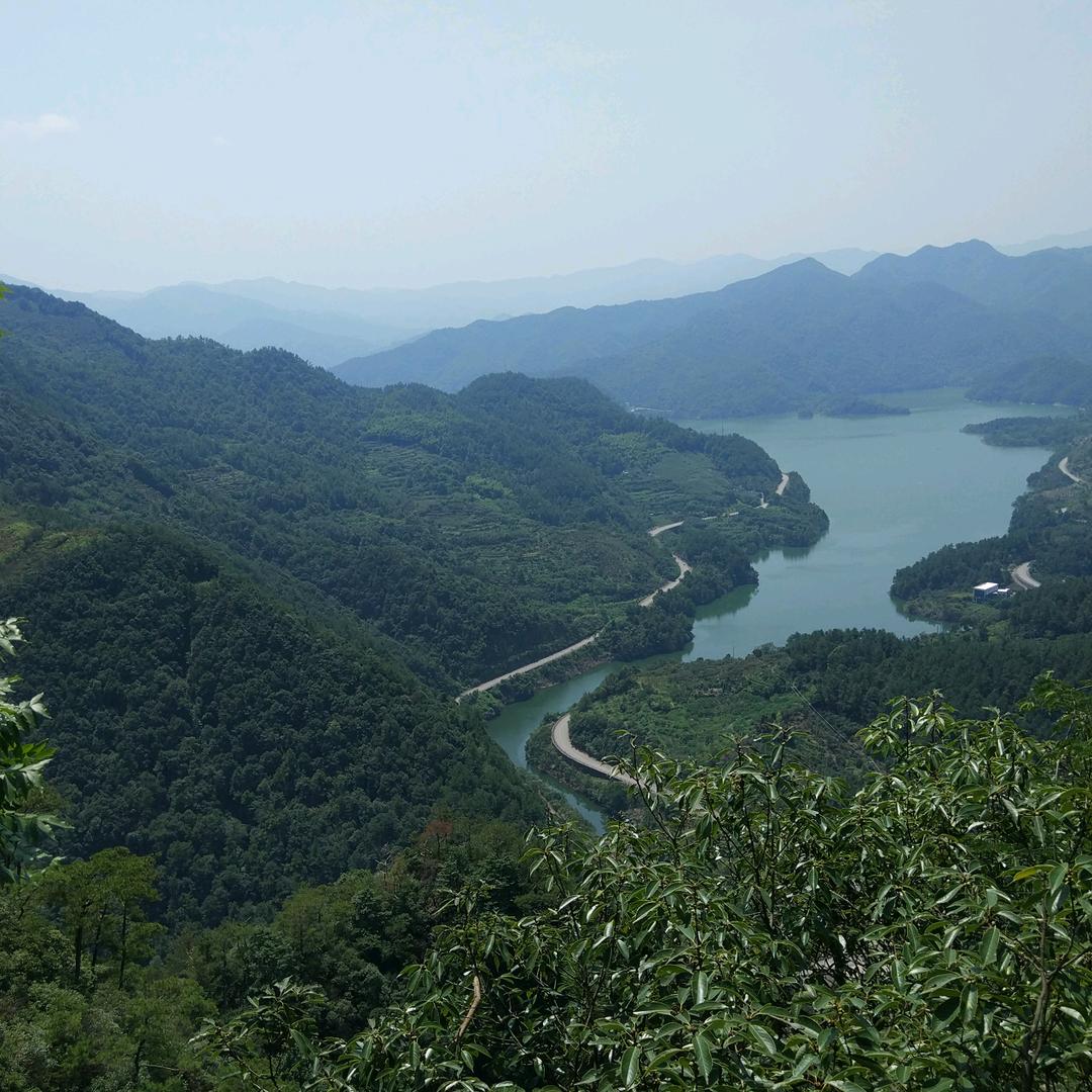 冷月无声