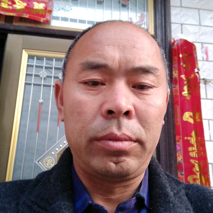 杨杨杨