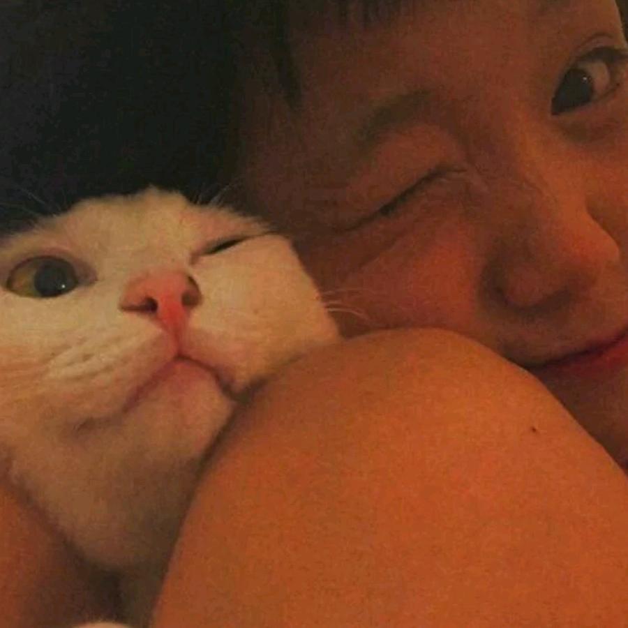 凌晨的猫～