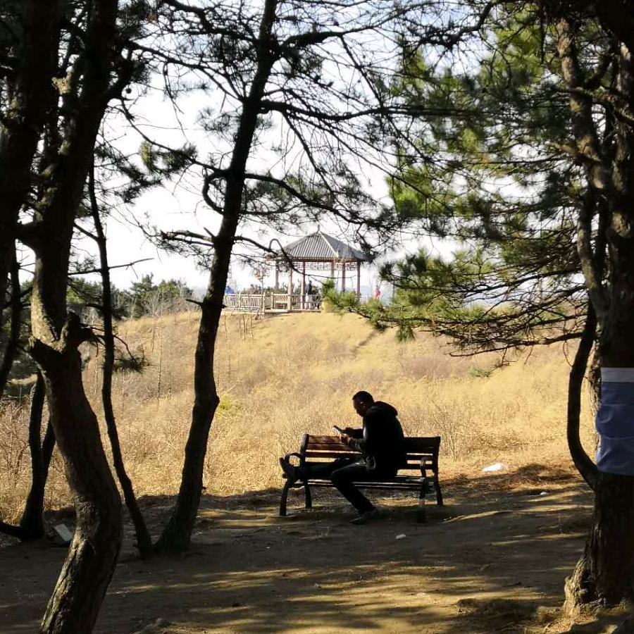 乐在旅途