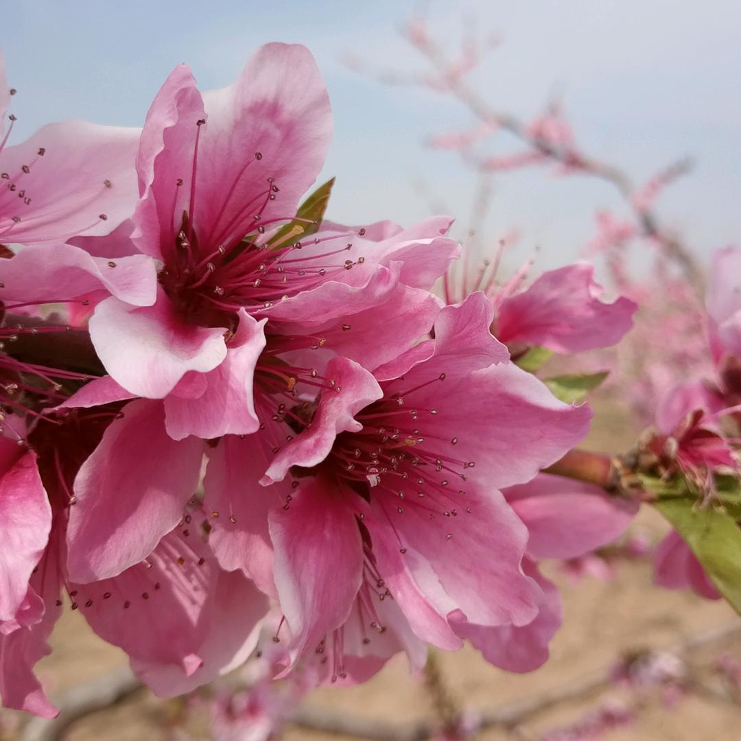 一晃就老了。拒聊。