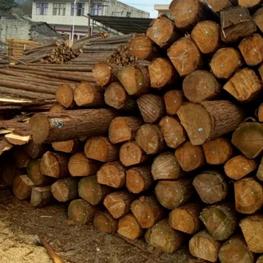 兴仁市郑传先木材加工厂