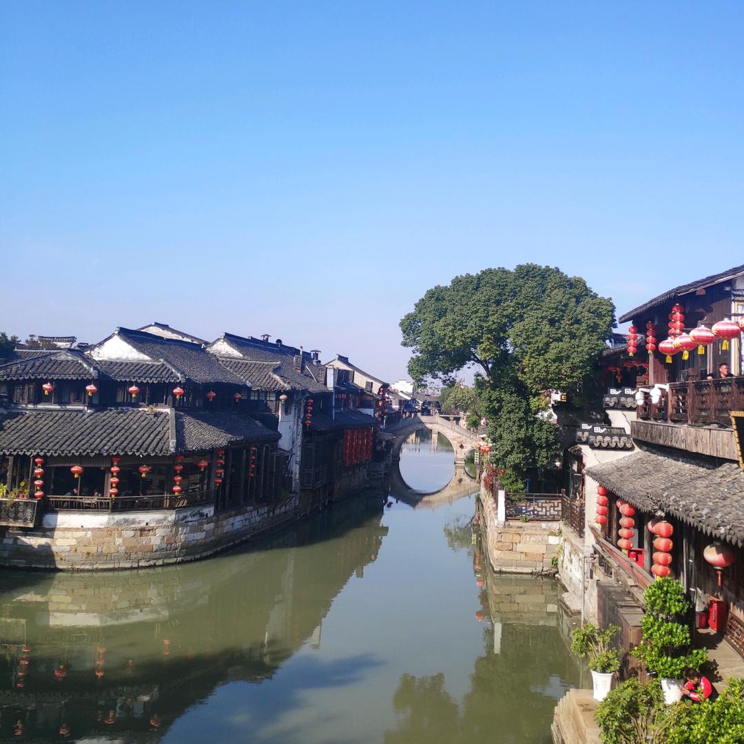 小米粒盖子