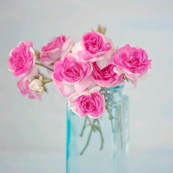 永远的过客，一生的配角